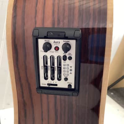 Zager ZAD-900CE-12 12-String Acoustic Guitar image 9