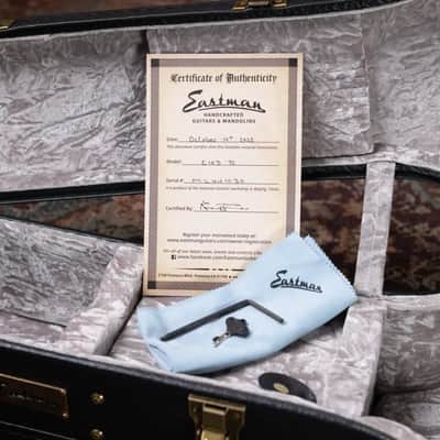 Eastman E10D-TC Dreadnought Acoustic Guitar with Hardshell Case image 18