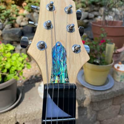 DMG Warlock style guitar image 6