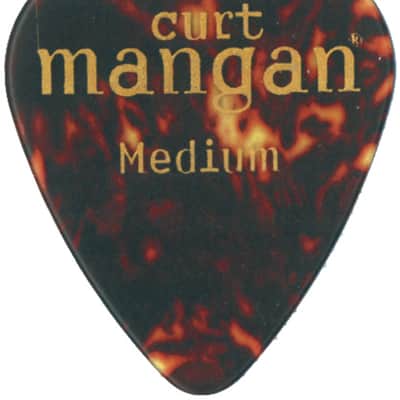 Medium Tortoise Shell Pick image 2