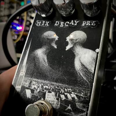 Pasta Pedals Spirit Box Reverb with pre-delay control and self oscillation image 2