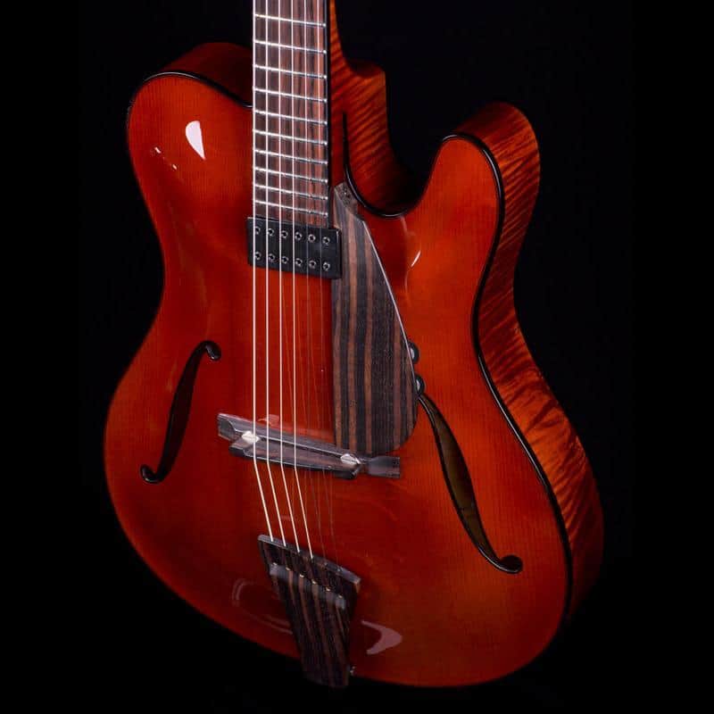 Tim Bram Guitars Tribute image 1