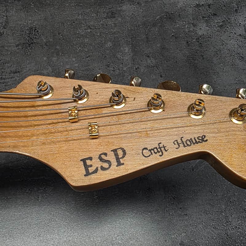 1980-1983 ESP Telecaster Purple