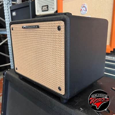 Ibanez T30 U Troubadour Acoustic Amp image 3