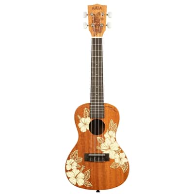 Kala HIBISCUS-C Hibiscus Mahogany Concert Ukulele image 3
