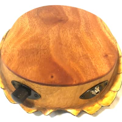 Electric turtle shell space drum image 5