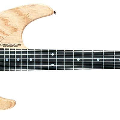 Washburn N4ESANM | N4-NUNO SWAMP ASH USA. New with Full Warranty image 2