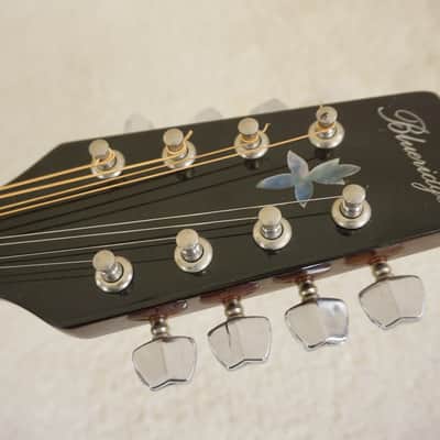 Vintage Blueridge BM300F A-Style Mandolin Sunburst MIJ Era image 8