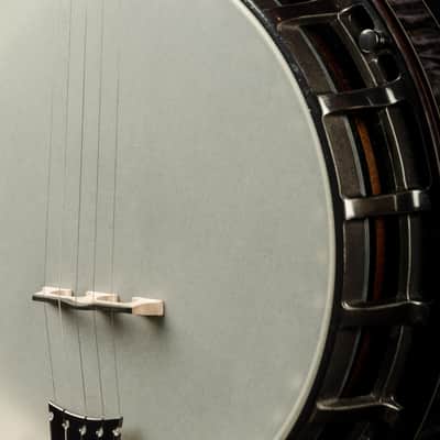 Nechville XXX 30th Anniversary Limited Edition 5 String Banjo NEW image 14