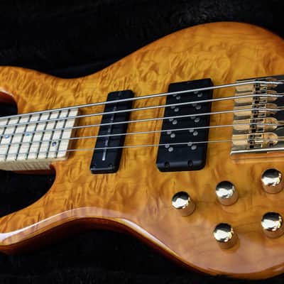 Left Handed Nordstrand Very Custom 5 String Bass image 3