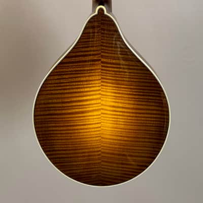 Bourgeois M5A Mandolin - Sunburst image 15