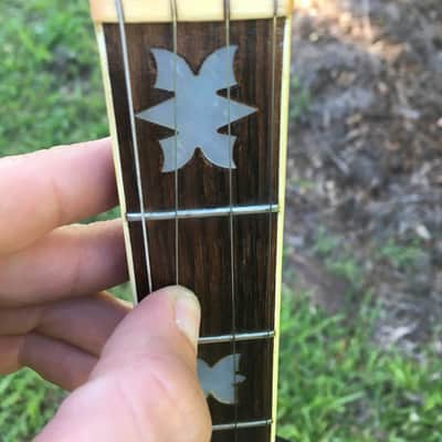 1970s Fender Artist 5-string Banjo image 4
