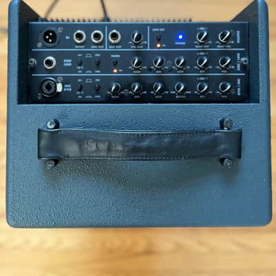 Schertler DAVID 100W Amplifier image 4