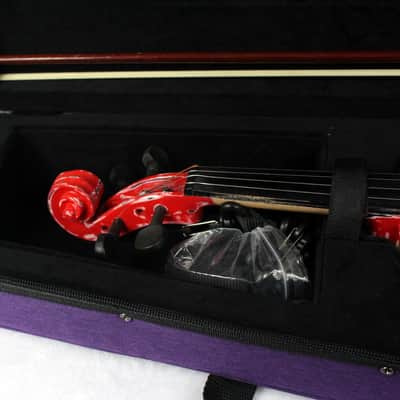 Custom Painted Unbranded 4/4 Violin - Painted Aged and Worn With New Case image 7