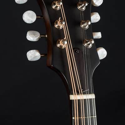Eastman MD315 F-Style Mandolin NEW image 6