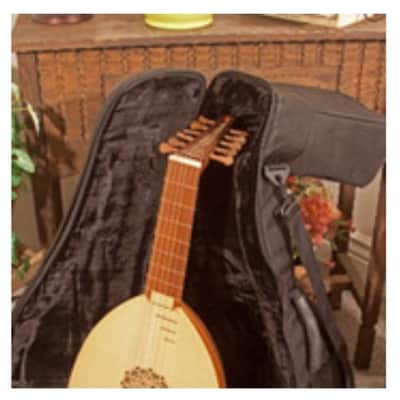 Roosebeck  LT6RS | 6-Course Lute Sheesham w/ Bag. New with Full Warranty! image 2