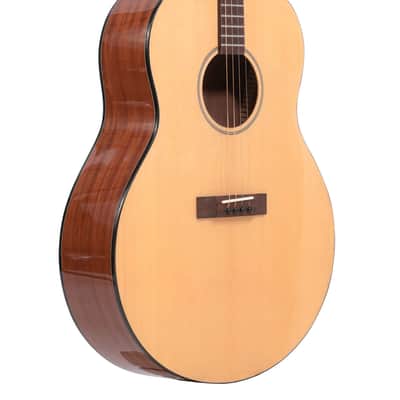 Gold Tone TG-18: Tenor Guitar with Vintage Design and Bag image 1