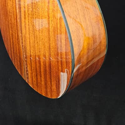 Breedlove ECO Discovery S Concert CE 12-string Acoustic-electric Guitar - Edgeburst - NEW image 10