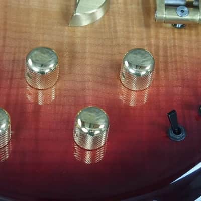 Alembic Skylark 6 String 25.5 inch Long Scale Electric Guitar with Case image 2
