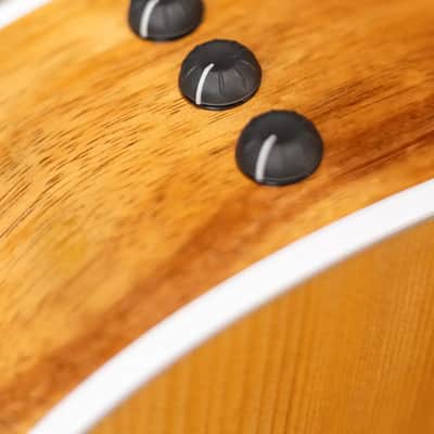 Taylor 214ce-K Grand Auditorium Acoustic/Electric Guitar with Gig Bag image 13