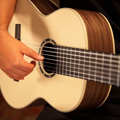 Ortega R133-7 Pro Solid Spruce Top Nato Neck Nylon 7-String Classical Acoustic Guitar w/Gig Bag image 23
