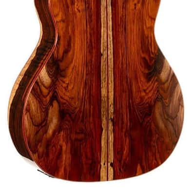 Cort Gold-A10 Cocobolo Natural Gloss w/Case (B Stock) image 2