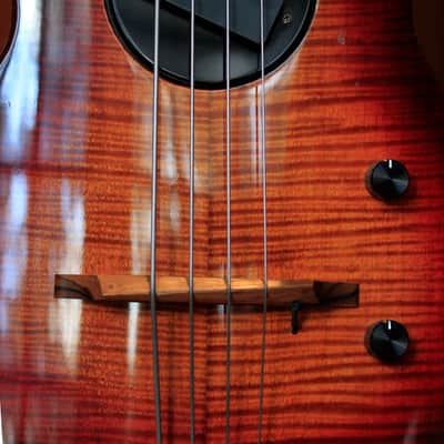 Rick Turner Model 1 2005 Custom Flame Maple Burst image 1