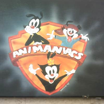 Unknown Guitar Case imagen 4