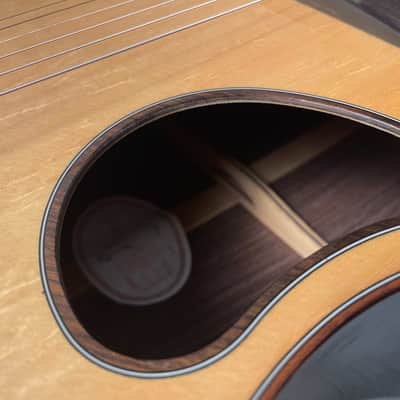 Hsienmo Shiyi Bear Claw Sitka Spruce Solid Top & Wild Indian Rosewood Solid back sides with hardcase image 12