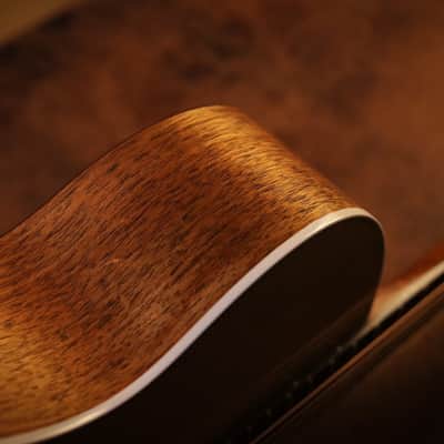 Martin SC-13e image 6