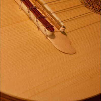 Roosebeck UBTVG Tenor Baroq-ulele Variegated w/Tuners & Gig Bag image 10