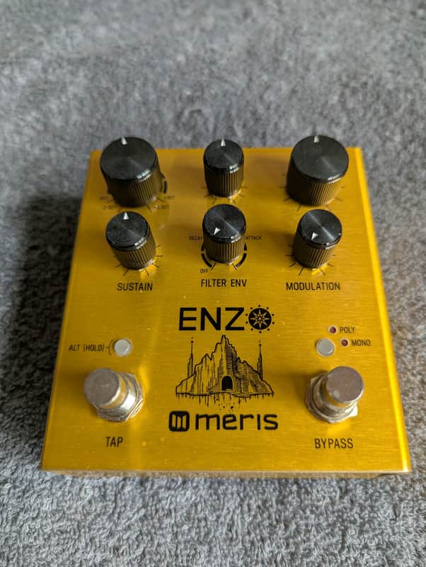 Meris Enzo 2018 - Gold image 1