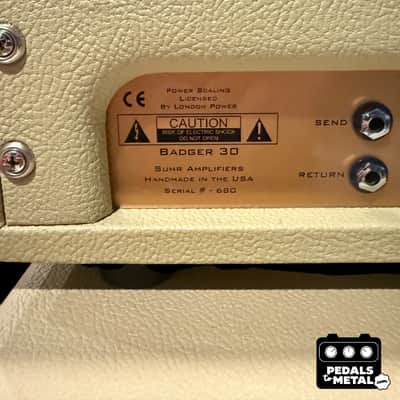 Suhr Badger 30 30-Watt Guitar Amp Head & 1x12 Cab - x12958 image 5