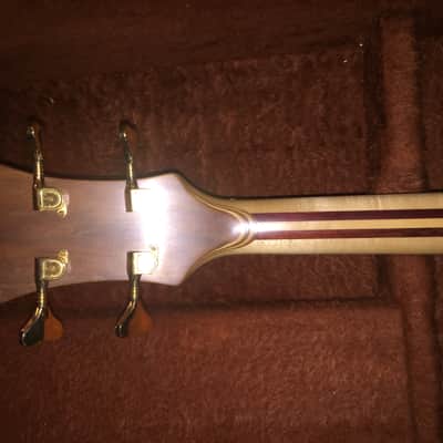 Alembic Short scale bass series 1 1979 Burl Walnut image 4