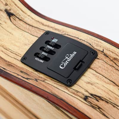Cordoba 24TCE Tenor Spalted Maple Spruce Ukulele image 9