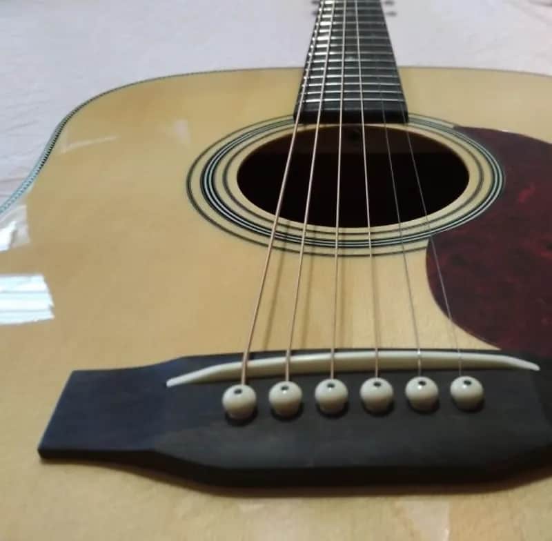 Tokai Cat's Eyes CE162 Dreadnought in Natural Solid Top and Mahogany Neck w/HC image 1