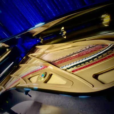 Petrof Concert Grand 284 Mistral Grand Piano P284 image 6