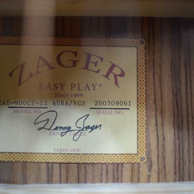 Zager Easy Play ZAD-900CE-12 12-String Acoustic/Electric Guitar image 4