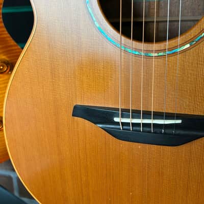 McIlroy A25c Natural Semi-Gloss 2009 Acoustic Guitar image 5