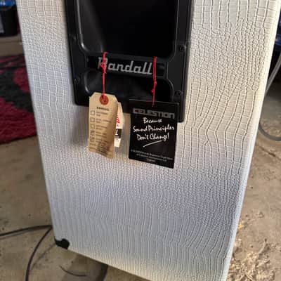 Randall RGT 100 ES image 10
