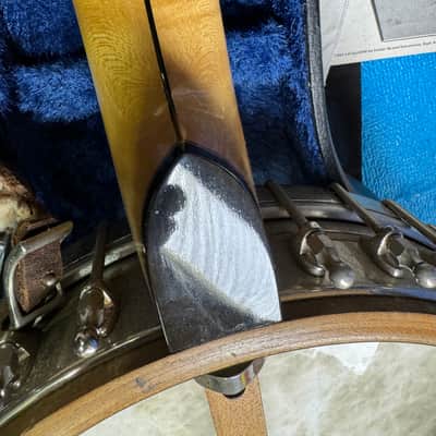 Vega No.2 Whyte Laydie 5-String 1910 - Natural SR-11-101 image 22