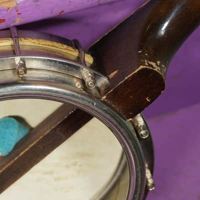 1930s U-King Banjo-Ukulele Banjolele (VIDEO! Fresh Work, Ready) image 9