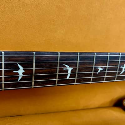 PRS Silver Sky Limited Edition 2020 - Nebula image 5
