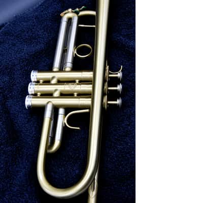 Selmer-Paris Concept TT 2009 - matt gold image 10