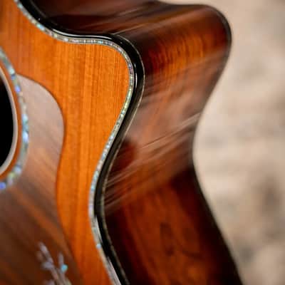 Taylor PS14ce Honduran Rosewood/Sinker Redwood Acoustic/Electric with Deluxe with Hardshell Case image 14