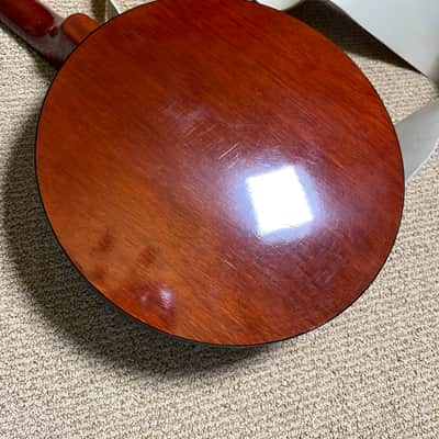 Blueridge Banjo 5-string Remo Drum Head w/ Hard Case image 9
