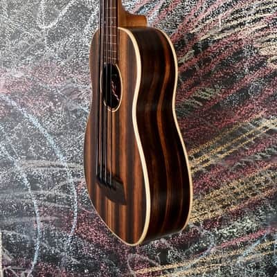 Kala Striped Ebony Fretless Acoustic-Electric U-BASS image 5