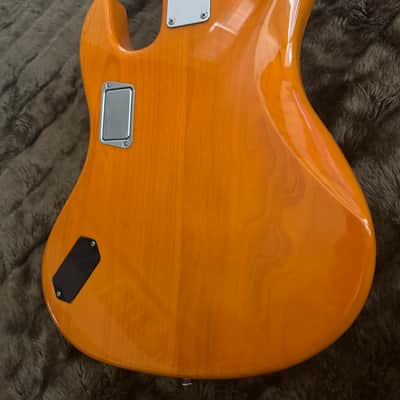 Edwards E-AM 160 image 6