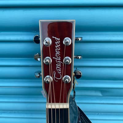 Tanglewood TW4CEAVB Winterleaf Super Folk Electro Acoustic Guitar image 5