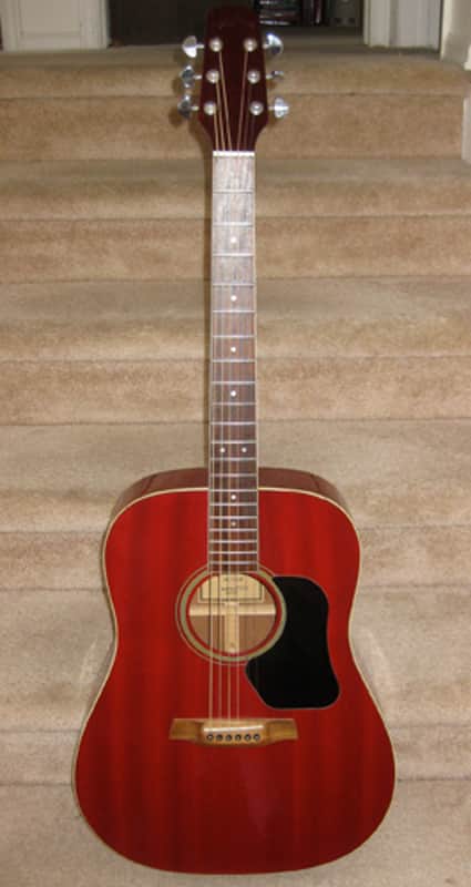 Walden D351SR Acoustic Dreadnought Guitar image 1